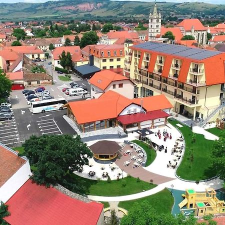 Hotel Leul De Aur Sebeş 외부 사진