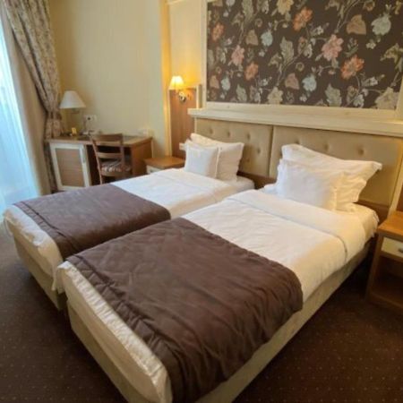 Hotel Leul De Aur Sebeş 외부 사진