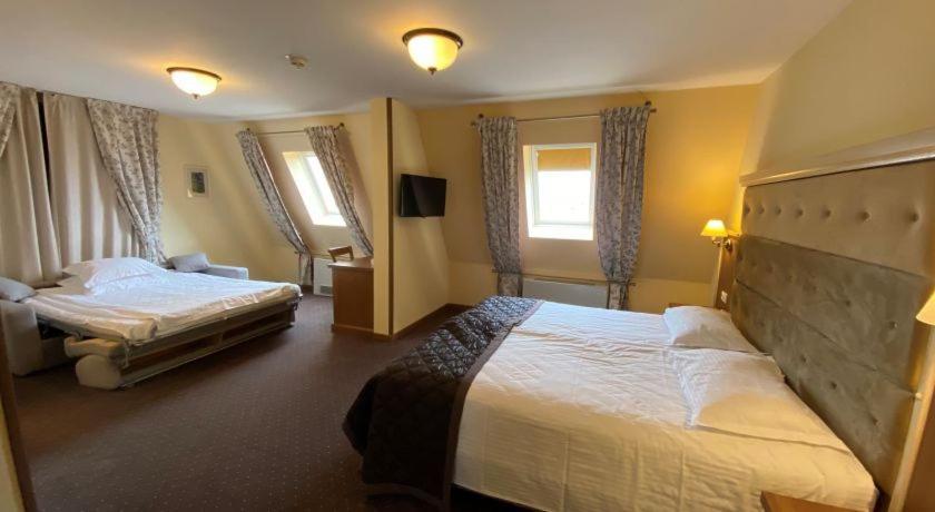 Hotel Leul De Aur Sebeş 외부 사진