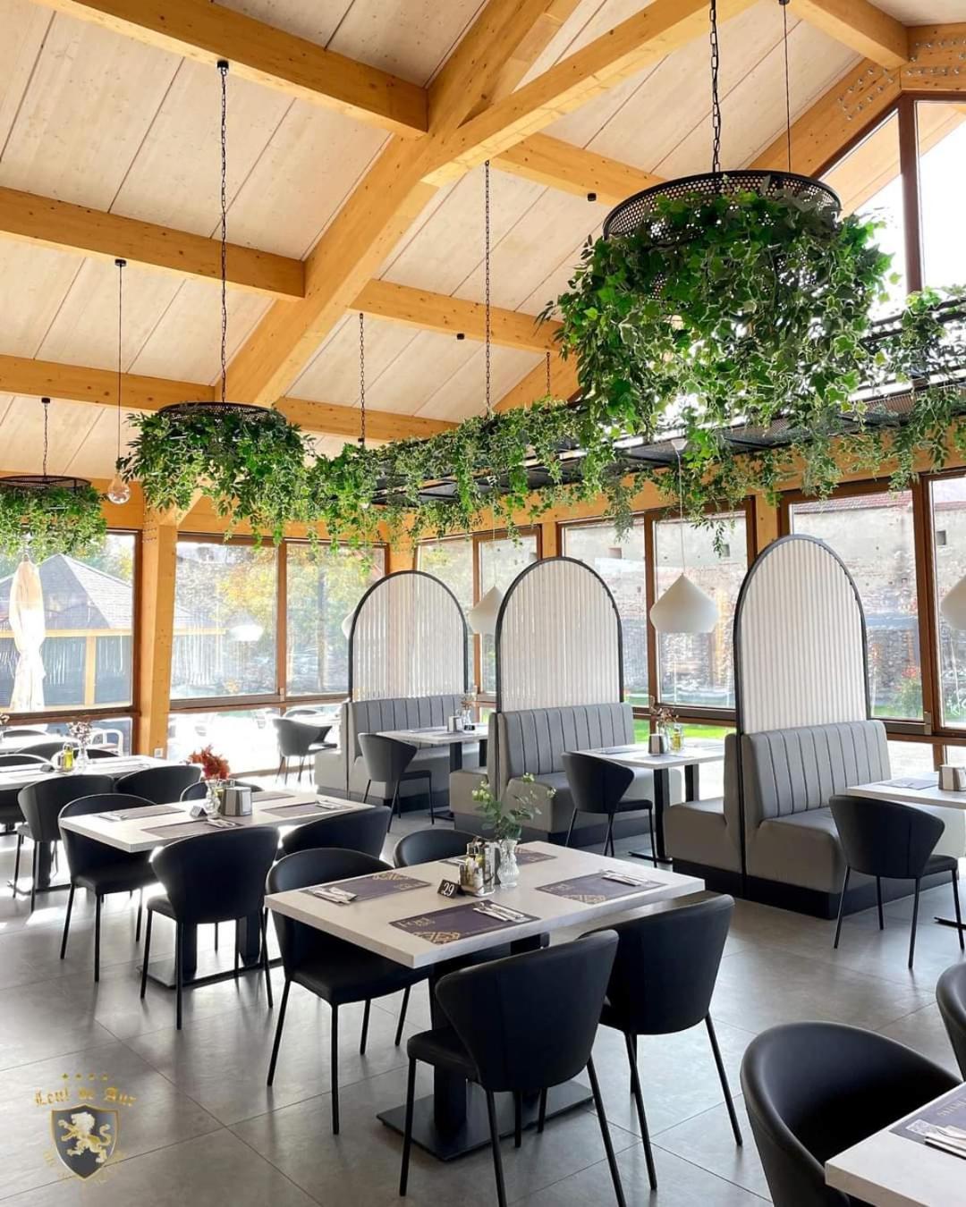 Hotel Leul De Aur Sebeş 외부 사진