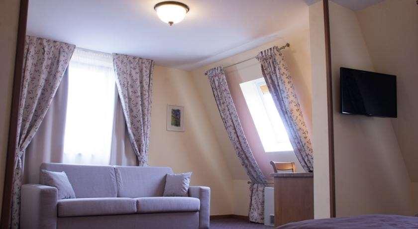 Hotel Leul De Aur Sebeş 객실 사진